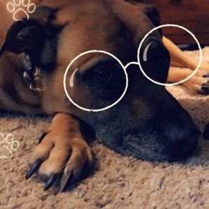 Meet your Posher, Lola-charisse k